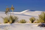 White Sands_32203